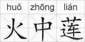火中莲的拼音