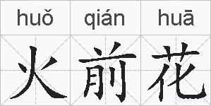 火前花的拼音