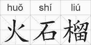 火石榴的拼音