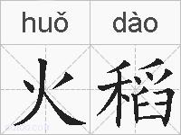 火稻的拼音