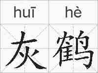 灰鹤的拼音