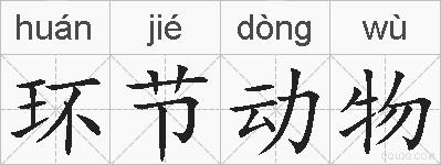 环节动物的拼音