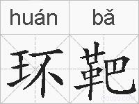 环靶的拼音