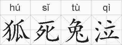 狐死兔泣的拼音