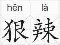狠辣的拼音
