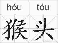 猴头的拼音