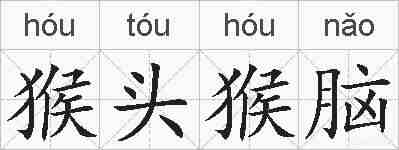 猴头猴脑的拼音