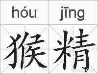 猴精的拼音