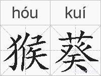 猴葵的拼音