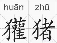 獾猪的拼音