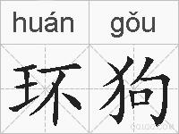 环狗的拼音