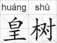 皇树的拼音