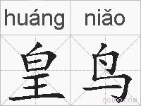 皇鸟的拼音