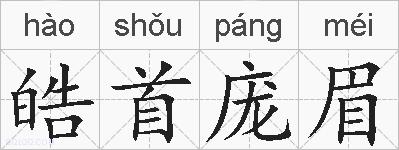 皓首庞眉的拼音
