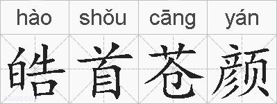 皓首苍颜的拼音