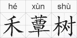 禾蕈树的拼音