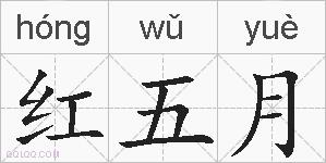 红五月的拼音