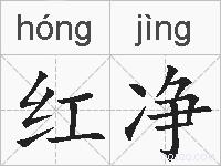 红净的拼音