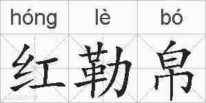 红勒帛的拼音