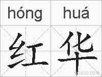 红华的拼音