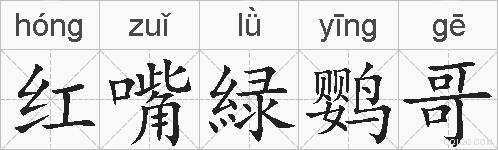 红嘴緑鹦哥的拼音