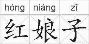 红娘子的拼音