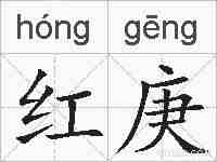 红庚的拼音