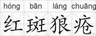 红斑狼疮的拼音