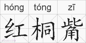 红桐觜的拼音