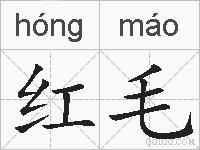 红毛的拼音