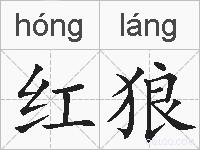 红狼的拼音
