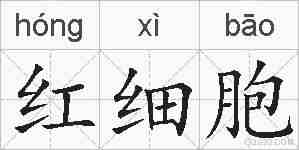 红细胞的拼音
