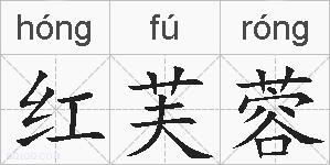 红芙蓉的拼音
