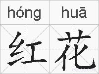 红花的拼音