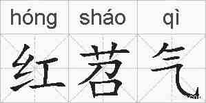 红苕气的拼音