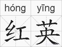 红英的拼音