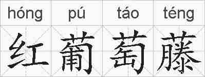 红葡萄藤的拼音