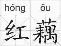 红藕的拼音