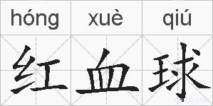 红血球的拼音