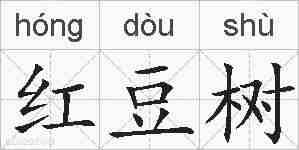 红豆树的拼音