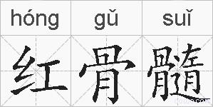 红骨髓的拼音