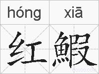 红鰕的拼音