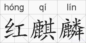 红麒麟的拼音