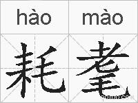 耗耄的拼音