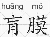 肓膜的拼音