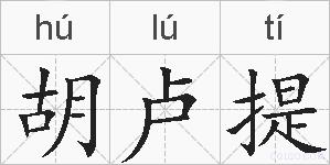 胡卢提的拼音