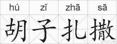 胡子扎撒的拼音