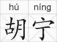 胡宁的拼音