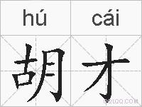胡才的拼音