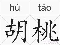 胡桃的拼音